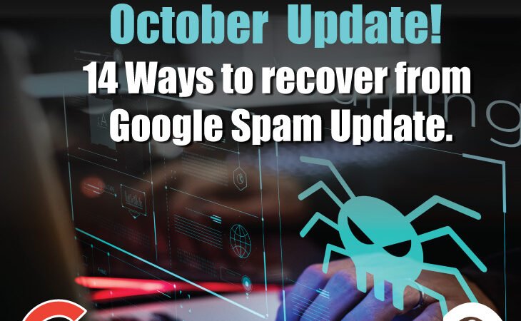 SEO Google Ranking – 14 Ways to recover from Google Spam Update October 2022.